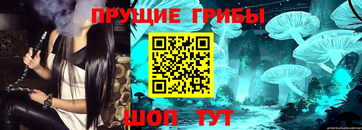 Псилоцибиновые грибы Cubensis Городец