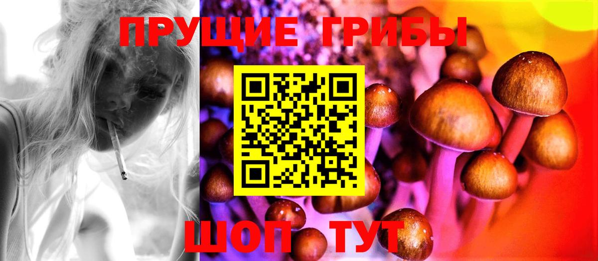 Галлюциногенные грибы мицелий  Вход с VPN  Городец 